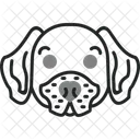 Rottweiler Raza Mascota Icono