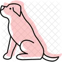 Rottweiler Perro Mascota Icono