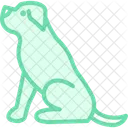 Rottweiler Perro Mascota Icono