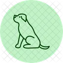 Rottweiler Perro Mascota Icono