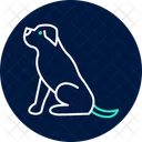 Rottweiler Perro Mascota Icono