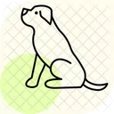 Rottweiler Perro Mascota Icono