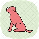 Rottweiler Perro Mascota Icono
