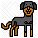 Rottweiler Dog Icon