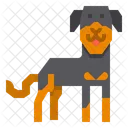 Rottweiler Dog  Icon