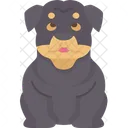 Rottweiler  Ícone