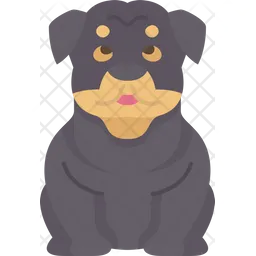 Rottweiler  Ícone