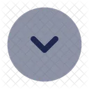 Round Alt Arrow Down Arrow Down Icon