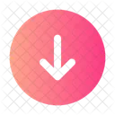 Round Arrow Down Icon