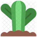 Round Cactus  Icon