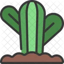 Round Cactus  Icon