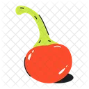 Red Chilli Red Pepper Food Spice Icon