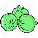 Round Gourds Organic Vegetable Natural Food Icon