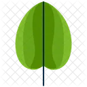 Round Greenery Leaf Icon