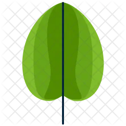 Round leaf  Icon