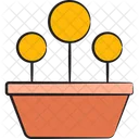 Round Shaped Plant Icon