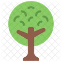 Round Tree  Icon