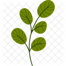 Rounded Leaf Plant  Icon