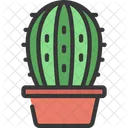 둥근 식물  아이콘