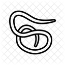 Roundworm Parasite Worm Icon
