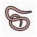 Roundworm Parasite Worm Icon