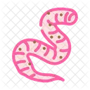 Roundworm Parasite Worm Icon