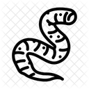 Roundworm Parasite Worm Icon
