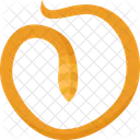 Roundworms Parasitic Worms Icon