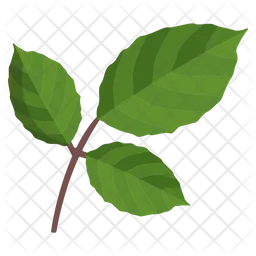 Roure Leaf  Icon