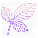 Roure Leaf  Icon