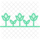Row Of Plants Row Plants Icon