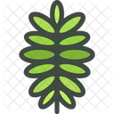 마가목 잎 잎 아이콘