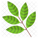Rowan Leaf  Icon