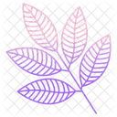 마가목 잎  아이콘