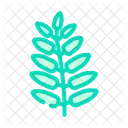 Royal Leaf Tropical Tree Palm Icon