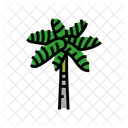 Royal Palm Royal Palm Icon