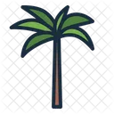 Royal Palm Coconut Palm Tree Icon