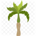 Royal Palm Palm Tree Beach Icon