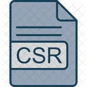 Csr Arquivo Formato Ícone