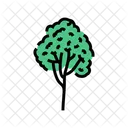 Rubber Tree Jungle Icon