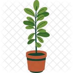 Rubber Plant  Icon