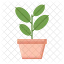 Rubber Plant Gardening Rubber Icon