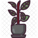 Rubber plant  Icon