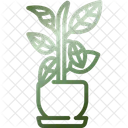 Rubber plant  Icon