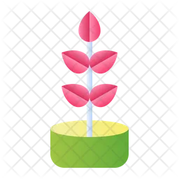 Rubber plant  Icon