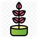 Rubber Plant Gardening Nature Icon