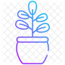 Rubber Plant Icon
