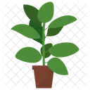 Rubber Potted Plant  Icon