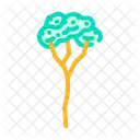 Rubber Tree Jungle Icon