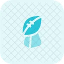 Rubbly Ball Trophy  Icon